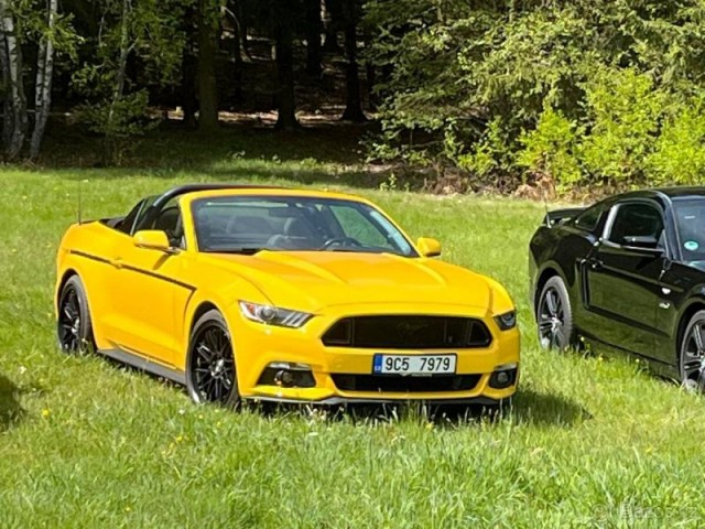 Ford Mustang 3,7   V6