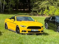 Ford Mustang 3,7   V6