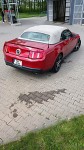 Ford Mustang 3,7   V6, 2011