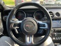 Ford Mustang 5,0   Performance V8