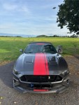 Ford Mustang 5,0