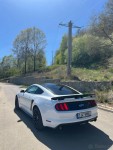Ford Mustang 5,0   V8 GT | 324 kW | Automat