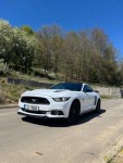 Ford Mustang 5,0   V8 GT | 324 kW | Automat