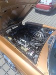 Jaguar XJ 5,3   12